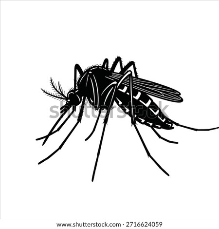 Black and white vector illustration drawing of a mosquito. Insect pest vector image. Mosquito on white background.