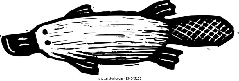 Black and white vector illustration of a duck-billed