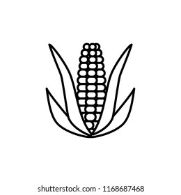 Black & white vector illustration of ear of corn with leaves & kernels. Line icon of fresh organic maize. Vegan & vegetarian food. Health eating ingredient. Isolated object on white background. 