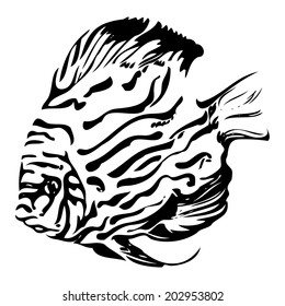 Black and white vector illustration of exotic coral fish