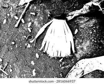 Black and white vector illustration of fallen banana flower petals on the ground with scattered small seashells. High contrast grunge stencil line art of tropical organic rustic background texture.