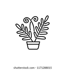 Black & white vector illustration of fern with leaves in pot. Decorative home plant in container. Line icon of indoor plant for conservatory & terrarium. Isolated object on white background.