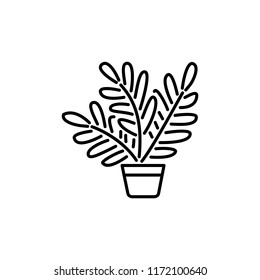 Black & white vector illustration of fern with leaves in pot. Decorative home plant in container. Line icon of indoor green foliage plant for conservatory & terrarium. Isolated object on white backgro