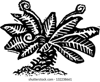 Black and white vector illustration of  fern