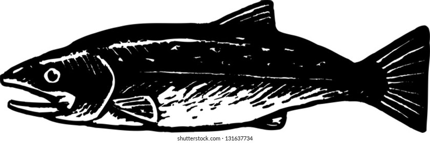 Black and white vector illustration of a fish