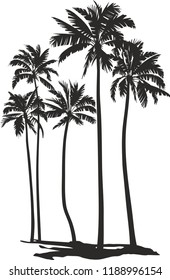 Black and white vector illustration of five palms trees