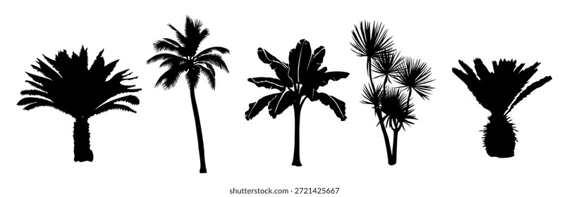 Ilustração vetorial em preto e branco de cinco palmeiras tropicais, incluindo leque, banana e palmeiras pontiagudas, em um estilo de silhueta minimalista limpo isolado no fundo branco