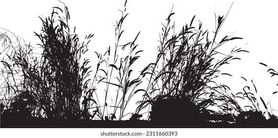 Black and white vector illustration of flowers and grass.