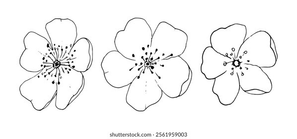 Black and White Vector Illustration of Flowers