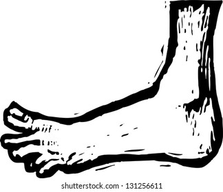 Black and white vector illustration of a foot