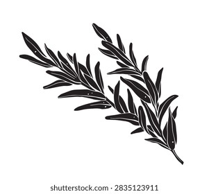 Black and white vector illustration of a fresh rosemary sprig isolated on white background.	