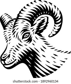 a black and white vector illustration of a goat in engraving style on white background