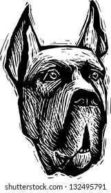 Black and white vector illustration of great Dane dog