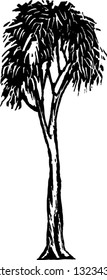 Black and white vector illustration of gum tree