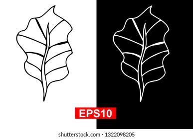 Black and White Vector Illustration of Hand Drawn Sketch of Botanical Nature Leaf Icon on Isolated Background