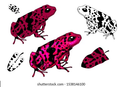 Black and White Vector Illustration of a Happy Frog. Cute Cartoon Frog Isolated on a White Background Coloring Page. Happy Animals Coloring Book for Children