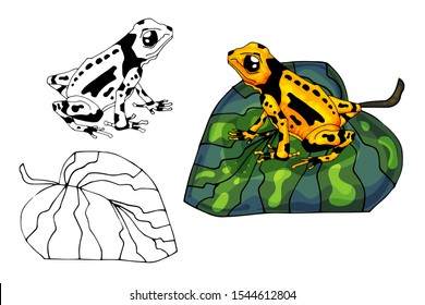 Black and White Vector Illustration of a Happy Frog. Cute Cartoon Frog Isolated on a White Background Coloring Page. Happy Animals Coloring Book for Children