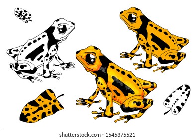 Black and White Vector Illustration of a Happy Frog. Cute Cartoon Frog Isolated on a White Background Coloring Page. Happy Animals Coloring Book for Children