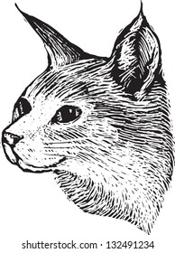 Black and white vector illustration of the head of a cat