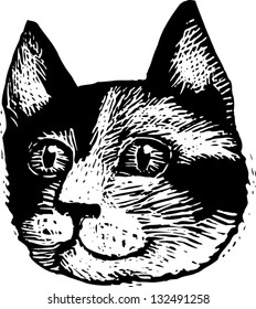 Black and white vector illustration of the head of a cat