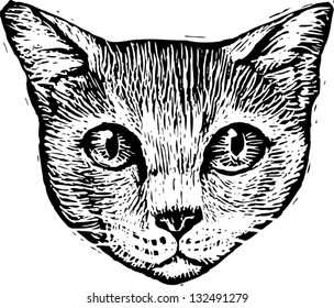 Black and white vector illustration of the head of a cat