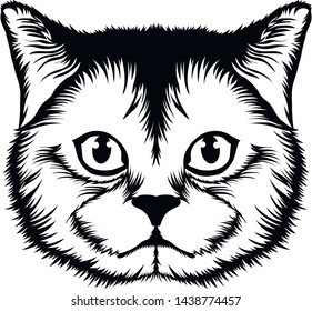 Black and white vector illustration of the head of a cat.