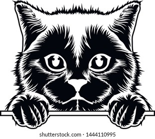 Black and white vector illustration of the head of a cat.