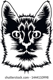 Black and white vector illustration of the head of a cat.