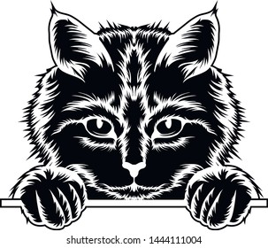 Black and white vector illustration of the head of a cat.