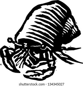 Black and white vector illustration of a hermit crab