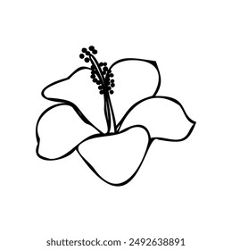 Black and white vector illustration of a hibiscus flower. Ideal for use in botanical designs, floral patterns, and decorative art projects. Suitable for print, digital media, and creative artworks.