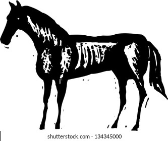 Black and white vector illustration of a horse