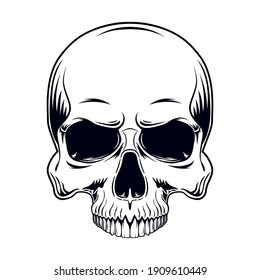 Black   white vector illustration human skull without lower jaw isolated white background 