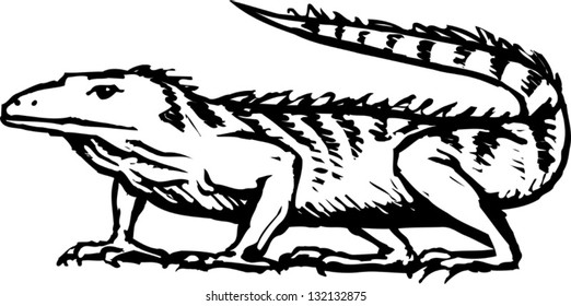 Black and white vector illustration of an iguana