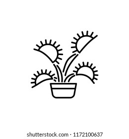 Black & white vector illustration of insect eating plant with leaves in pot. Line icon of decorative home plant in container. Isolated object on white background.
