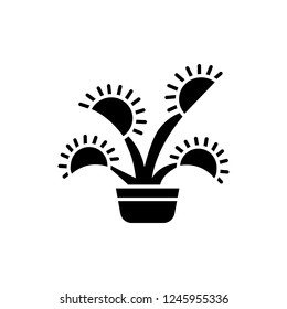 Black & white vector illustration of insect eating plant with leaves in pot. Flat icon of decorative home plant in container. Isolated object on white background