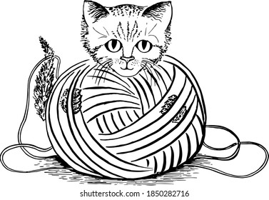 Ilustración vectorial en blanco y negro de un gatito enredado en una bola de hilo. La imagen es dibujada a mano en un lindo estilo de caricatura. Sin fondo.