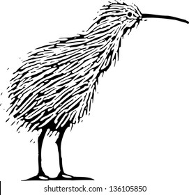 Black and white vector illustration of a kiwi bird