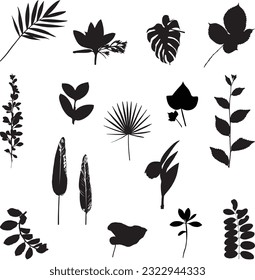 Black and White vector illustration leaves.