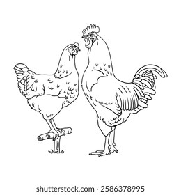 Black and white vector illustration of a majestic rooster and a hen. Perfect for tattoos, prints, farm-themed designs, nature lovers, and decorative art.