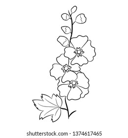 Black and white vector illustration. Mallow plant