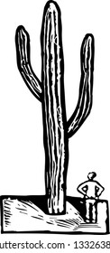 Black and white vector illustration of a man looking at a tall cactus