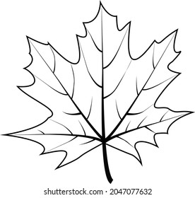 532 Maple leaf tattoo black white Images, Stock Photos & Vectors ...