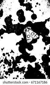black and white vector illustration with moth on grunge background