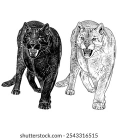 León de Ilustración vectorial blanco y negro de pie rugiendo