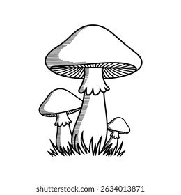 Black and white vector illustration of mushroom