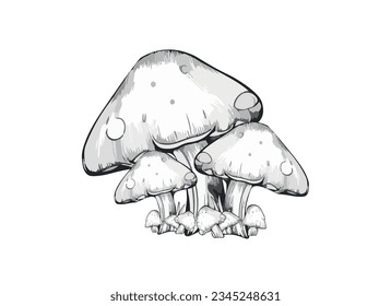 Black and white vector illustration of mushrooms for coloring and printing