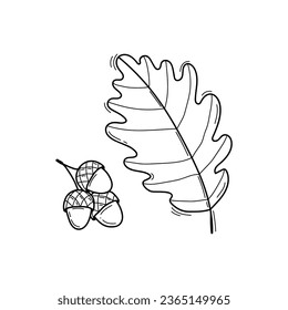 Black and white vector illustration of oak leaf and acorn in doodle style, sketch line art isolated on white background