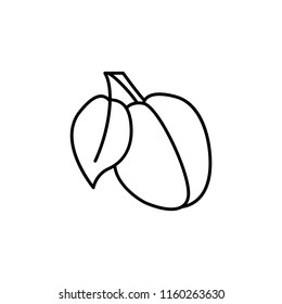 Black & white vector illustration of organic plum with leaf. Line icon of fresh fruit. Vegan & vegetarian food. Health eating ingredient. Isolated object on white background. 