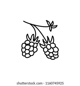 Black & white vector illustration of organic raspberry. Line icon of fresh berries with leaves. Vegan & vegetarian food. Health eating fruit ingredient. Isolated object on white background. 